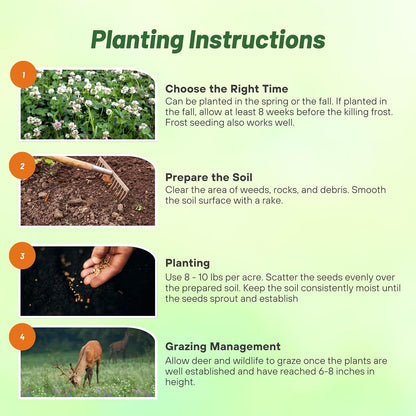 Outsidepride Perennial Clover King Seed Mix - 5 lbs Nitrocoated, Inoculated, Heat & Cold Tolerant, Alfalfa-Enhanced Food Plot Seeds for Deer & Wildlife, Ideal for Spring, Summer, & Winter Food Plots