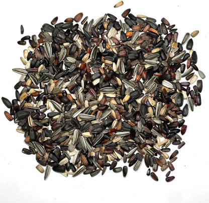 Seed Needs Sunflower Seeds for Planting The Original Crazy Blend | 1 Ounce 15+ Heirloom Varieties Open Pollinated & Untreated | Resealable Bulk Package Multicolored Blooms Flower Seeds