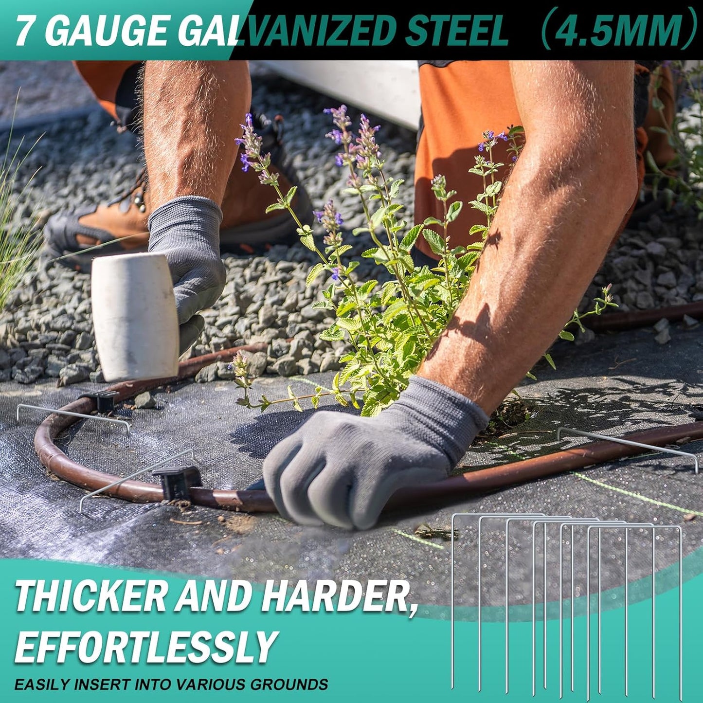 30 Pack Heavy Duty Wide Landscape Staples, 7 Gauge Galvanized Steel Turf Stakes Garden Stakes Bulk, U Type Anchor for Grass, Securing Weed Barrier Fabric, Pipes, Sod (12"x6")