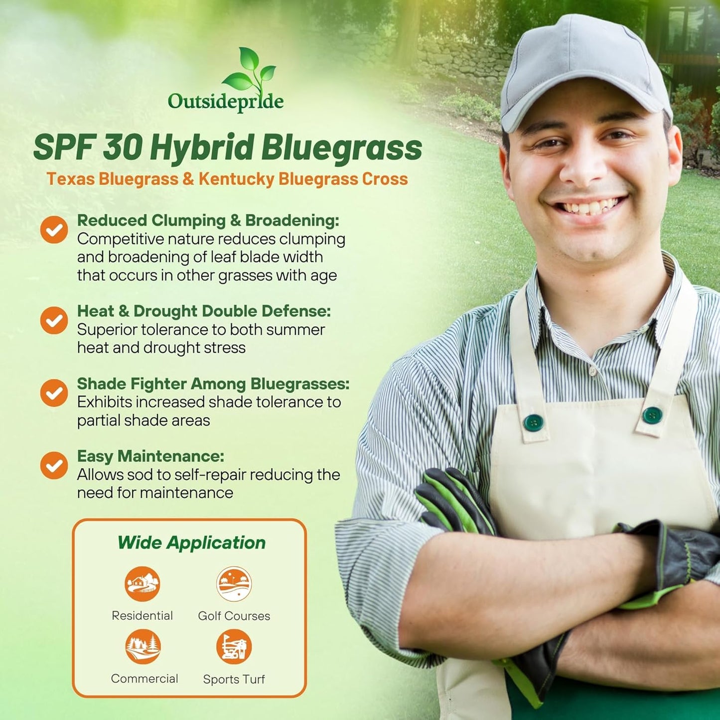 Outsidepride SPF-30 Hybrid Bluegrass Seeds - 25 lbs. Heat & Drought Tolerant, Texas Bluegrass & Kentucky Bluegrass Seed Mix for Challenging Climates, OptiGrowth Coated for Better Establishment