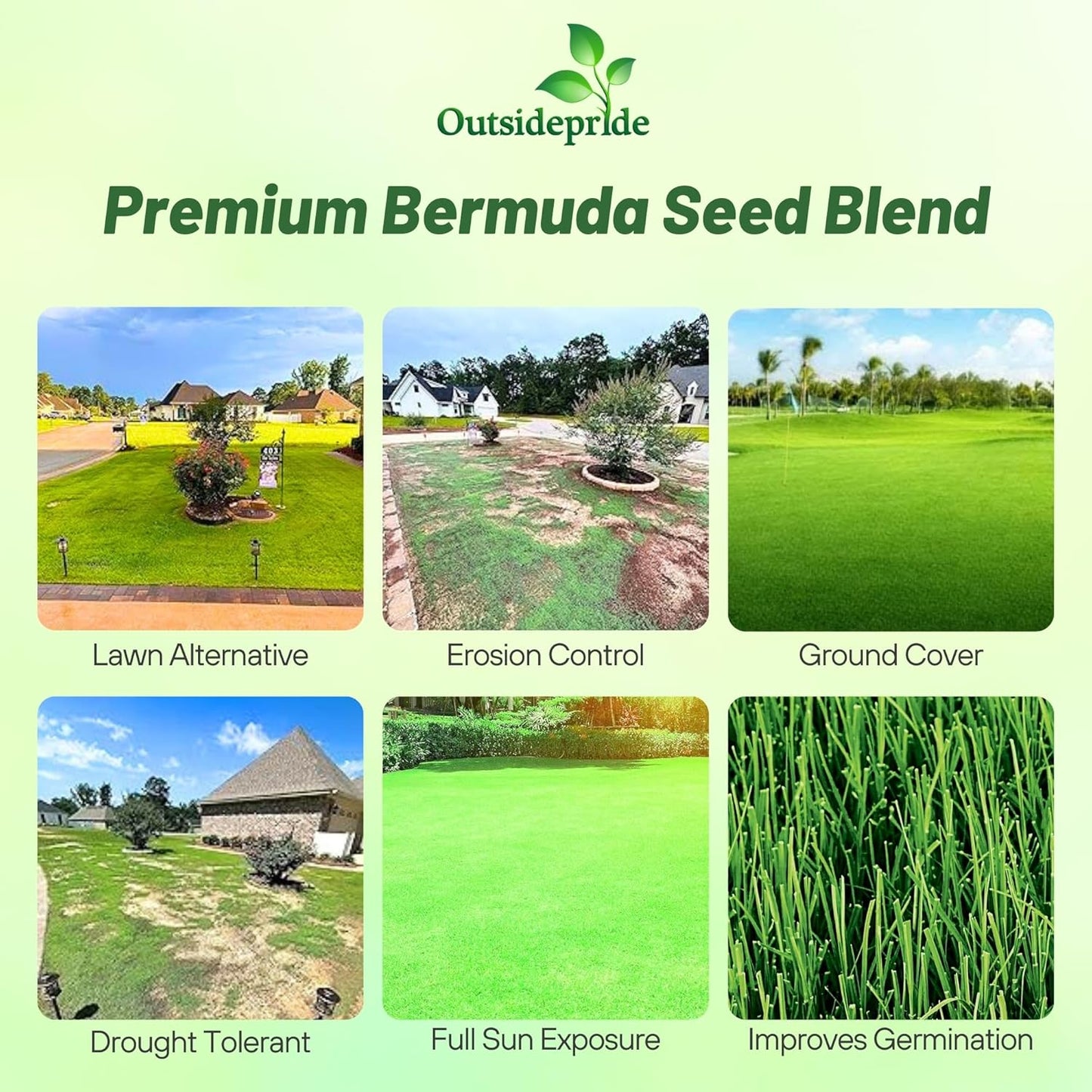 Outsidepride Oasis Bermuda Grass Seed - 10 lbs Warm Season, High Traffic, Heat Resistant, Drought-Tolerant, Low-Maintenance, Fast Growing Turf Grass for Lawn, Ideal for Sunny Areas, Thick Coverage