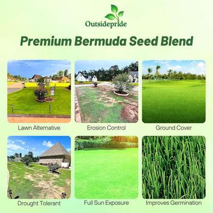 Outsidepride Oasis Bermuda Grass Seed - 5 lbs Warm Season, High Traffic, Heat Resistant, Drought-Tolerant, Low-Maintenance, Fast Growing Turf Grass for Lawn, Ideal for Sunny Areas, Thick Coverage