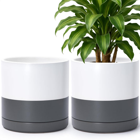 D'vine Dev Set of 2 Plants Pots, 10 Inch Ceramic Planter Pot for Plants with Drainage Hole and Saucer, White/Speckled Grey, 94-V-E-6