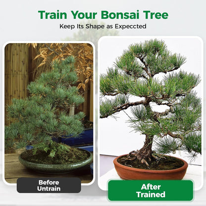 189FT Easy to Bend Bonsai Wire, Aluminum Bonsai Tree Wire in 5 Size -1mm,1.5mm,2mm,2.5mm,3mm with Cutter Set for Training Thin or Thick Branches