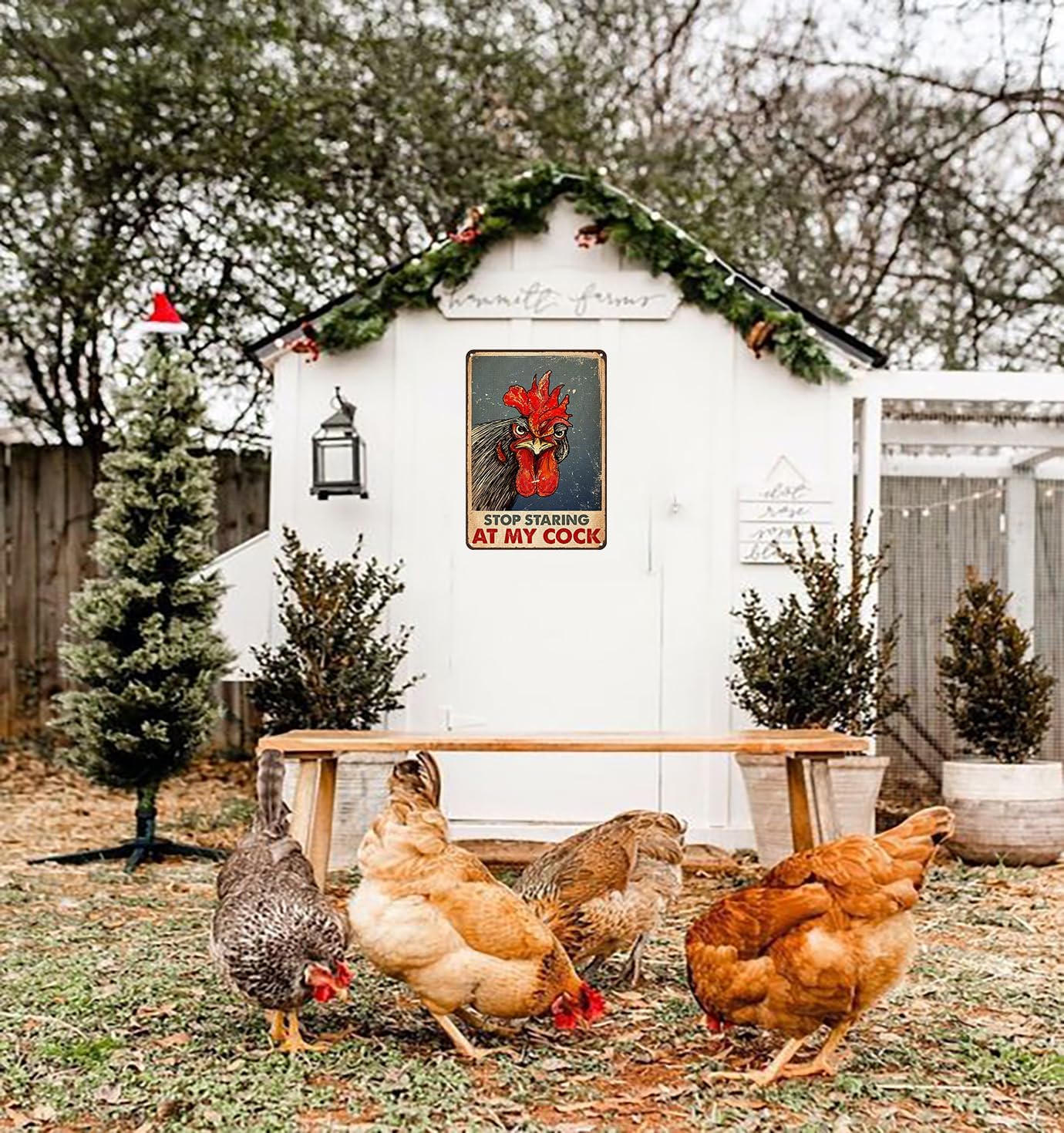 Funny Chicken Stop Staring My Cock Tin Sign for Farm Chicken Coop Farmhouse Kitchen Vintage Wall Decor 8x12 Inch (3058)
