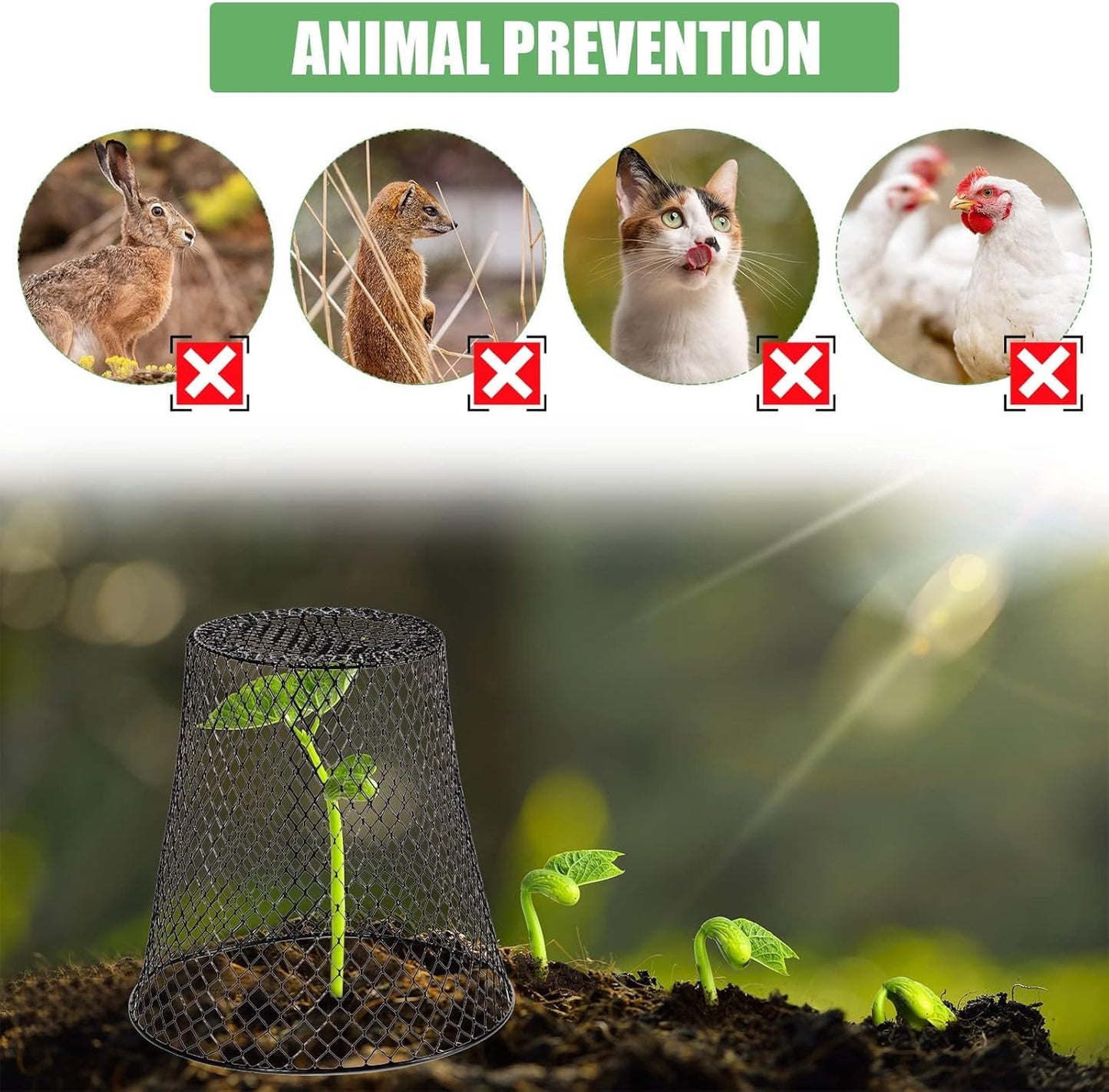 10 Pcs Garden Chicken Wire Plant Covers, 11x11Inch Metal Wire Garden Cloches Chicken Wire Cloche Plant Protector Heavy Duty Garden Plant Cloche for Keeping Bunnies Chicken Squirrels Birds Other Out