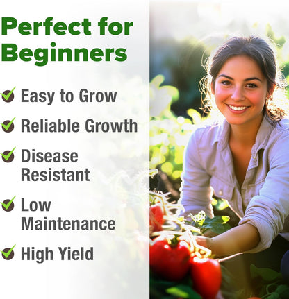 HOME GROWN San Marzano Tomato Seeds – 132 Heirloom, 𝗡𝗢𝗡-𝗚𝗠𝗢, 𝗨𝗦𝗔-𝗦𝗢𝗨𝗥𝗖𝗘𝗗 Seeds – High Germination Tomatoes for Indoor & Outdoor Growing – Classic Paste Variety for Gardeners & Home Use