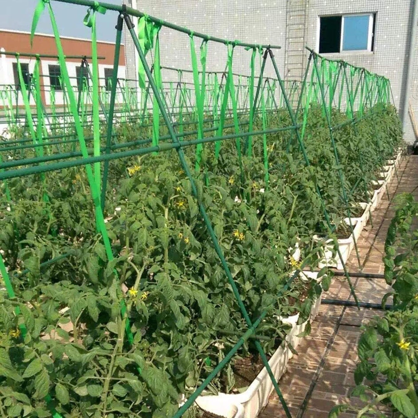 50Pcs 4FT x 7/16" Garden Stakes Plant Stakes Plant Cage Supports with 328FT Twist Ties for Sapling Tomato Cucumber Bean Climbing Plants Grow