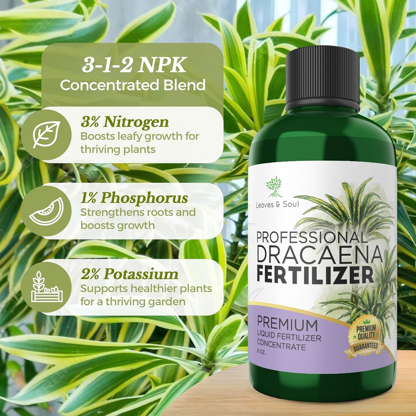 Professional Liquid Dracaena Plant Fertilizer | 3-1-2 Concentrate for Indoor Plants | Multi-Purpose Blend & Gardening Supplies | 8 oz Bottle