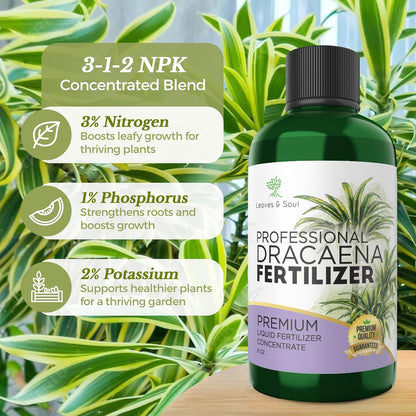 Professional Liquid Dracaena Plant Fertilizer | 3-1-2 Concentrate for Indoor Plants | Multi-Purpose Blend & Gardening Supplies | 8 oz Bottle