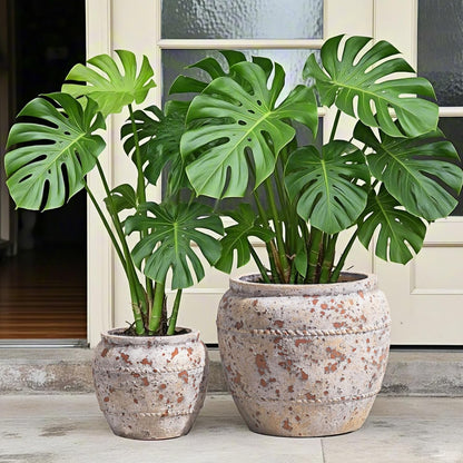 Yundu Concrete Planter Set of 2, The planters for Indoor Plants, 12.5 & 8.5 inch pots for Plants, Plant pots Indoor with Drain Hole, Modern décor for Home, Office and Other Indoor and Outdoor Décor