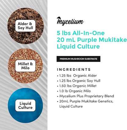 Mycelium's Purple Mukitake Gourmet Mushroom Kit | 5LBS Alder & Soy Hull Blend with Mycelium Plus Grains Combo | Sterile & Nutrient-Rich for Home Growers | Includes 20ML Liquid Culture Syringe