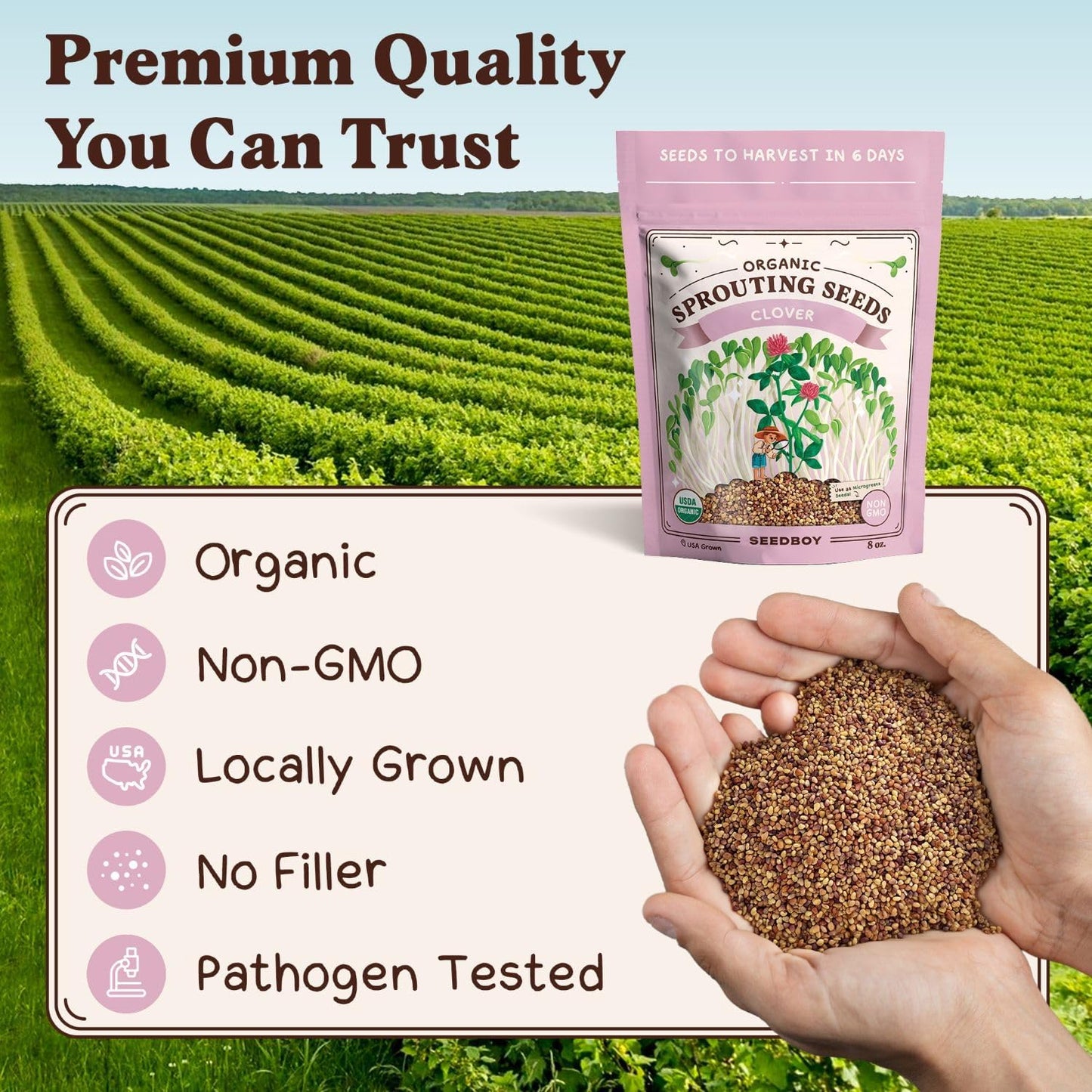 Seedboy Organic Non-GMO Clover Seeds for Sprouting - USA Grown Microgreens Sprouting Seeds - 8 oz Bag Makes 8 Quarts / 24 Servings (Red Clover)
