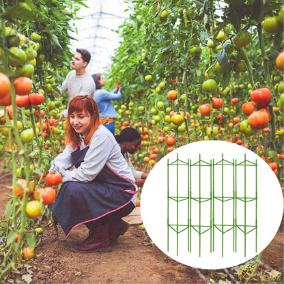 Moirsunt 4Pack Tomato Cages Plant Cages 4ft Multifunctional Tomato Support Garden Trellis Tomato Stakes Cucumber Tomato Trellis for Vertical Climbing Plants Vegetable Flowers
