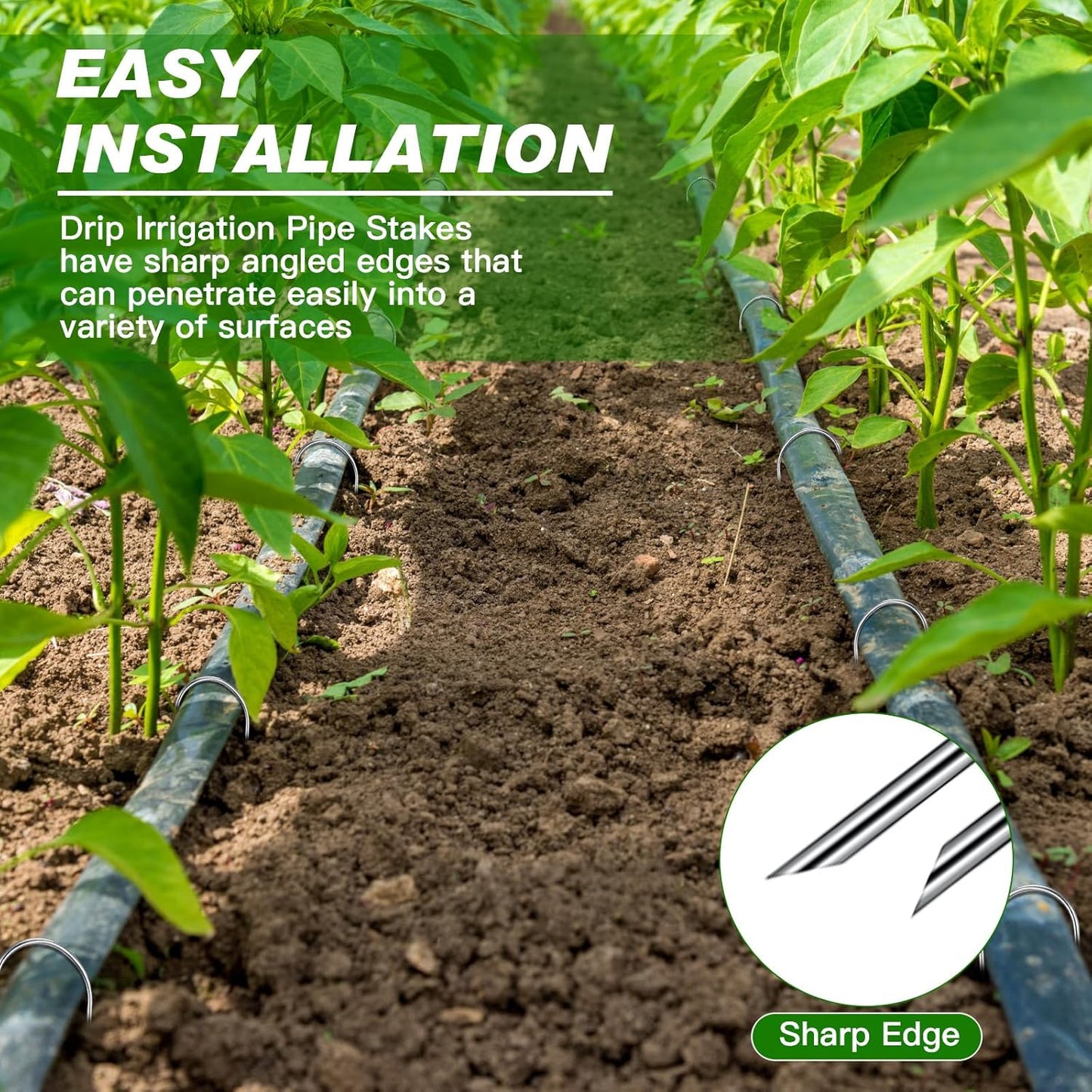 Tandefio 100 Packs Drip Irrigation Tubing Stakes 6 Inch Garden Pins Landscape Staples Securing Pegs Galvanized Lawn Yard U Pegs for Hose, Chicken Wire, Weed Barrier Fabric, Dog Fence