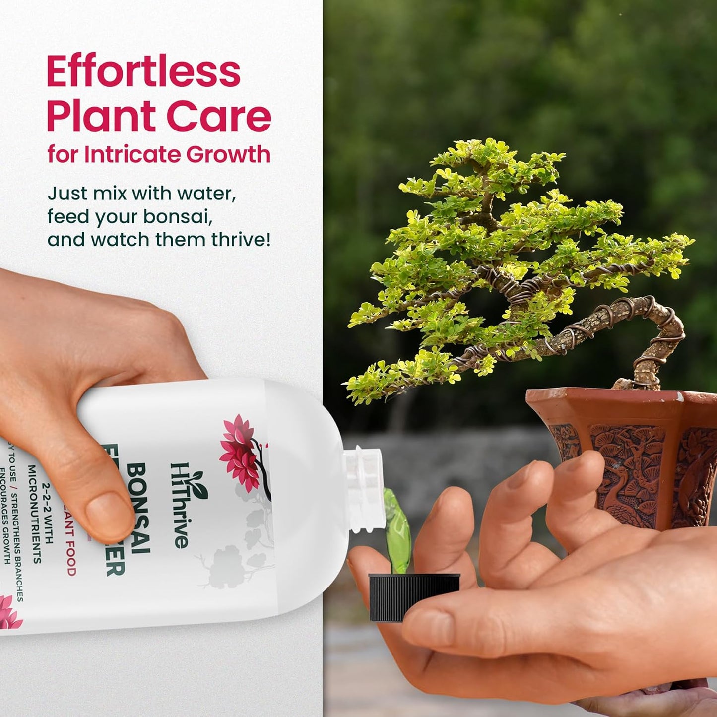 16oz Bonsai Tree Live Liquid Plant Food - Makes 32 Gallons of Bonsai Fertilizer Liquid, Premium Macronutrient Formula Enriched with Micronutrients for Healthy Roots, Branching & Foliage