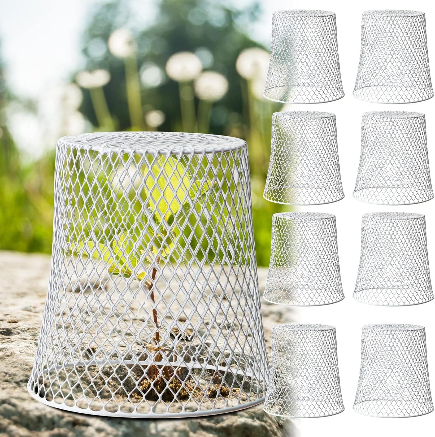 20 Pcs 8inch Chicken Wire Plant Covers,Wire Garden Cloches Chicken Wire Cloche Plant Protector Metal Heavy Duty Garden Plant Cloche for Keeping Bunnies Chicken Squirrels Birds Other Out