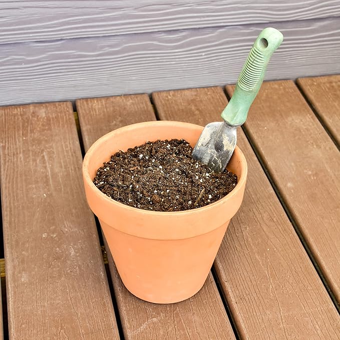 Philodendron Plant Potting Soil Mix (8 Quarts), Special Blend for Heart Shape Philodendron Plants Et Al.