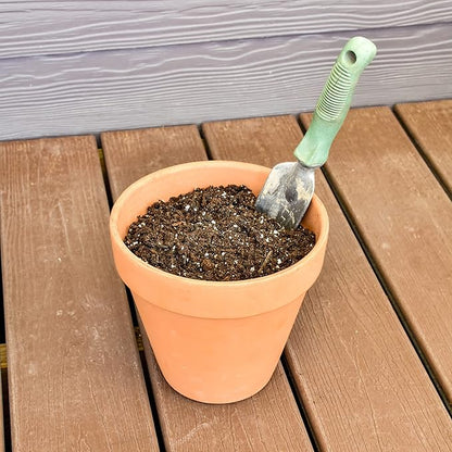 Philodendron Plant Potting Soil Mix (8 Quarts), Special Blend for Heart Shape Philodendron Plants Et Al.