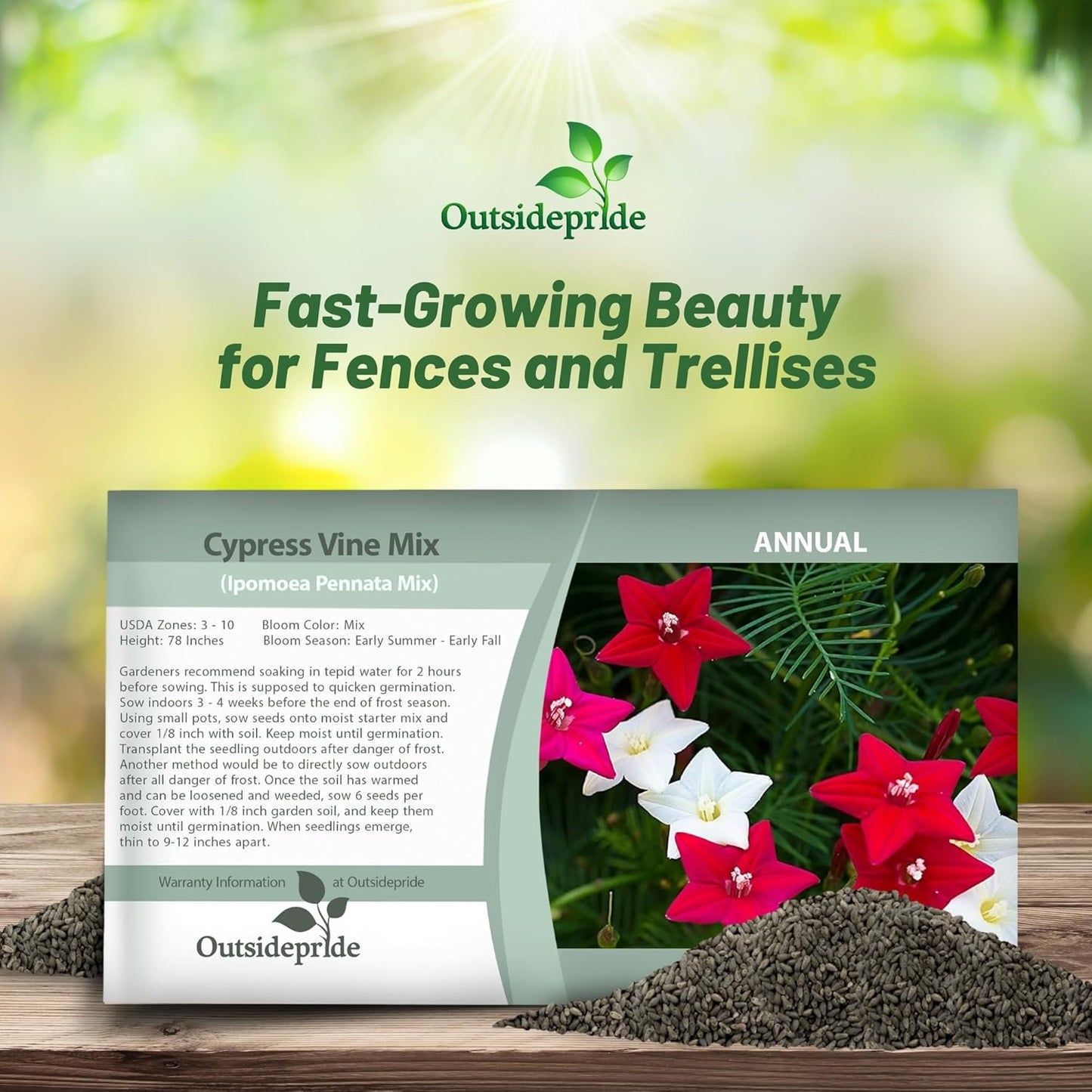 Outsidepride Mixed Cypress Vine Seeds - 200 Pcs Annual Flower Seeds with Nectar-Rich, Star-Shaped Flowers & Feathery, Fern-Like Leaves for Fences, Trellises, Pergolas & Vertical Gardens