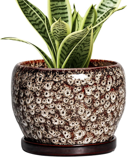 SQOWL Ceramic Plant Pots - 6 Inch Ceramic Planter for Indoor Outdoor, Small Flower Pots with Drainage Hole and Saucer, Decorative Round Planter, Home Office Decor, Plant Lover Gifts, White