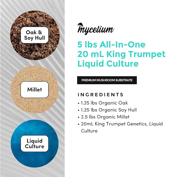 Mycelium’s King Trumpet Gourmet Mushroom Kit | 5LBS Oak & Soy Hull with Millet Blend | 20ML Liquid Culture Syringe | All-in-One Complete Cultivation Kit | Pre-Sterilized - Home Growing Made Easy