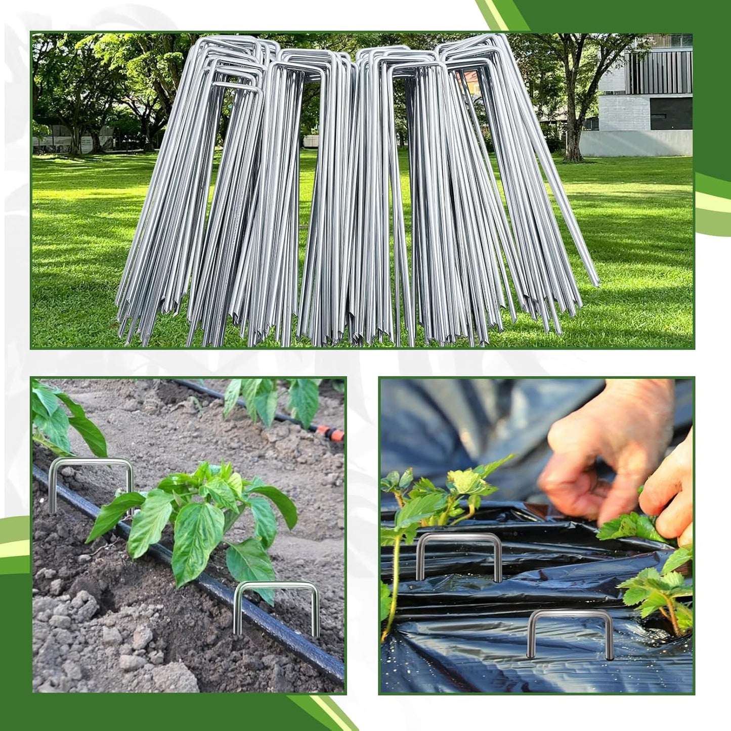 200 Pack Landscape Staples,6 Inch Garden Stakes,11 Gauge Galvanized Steel Garden Staples,Heavy Duty U-Shaped Pins,Lawn Stakes for Weed Barrier Ground Cover,Landscape Fabric,Irrigation Tubing