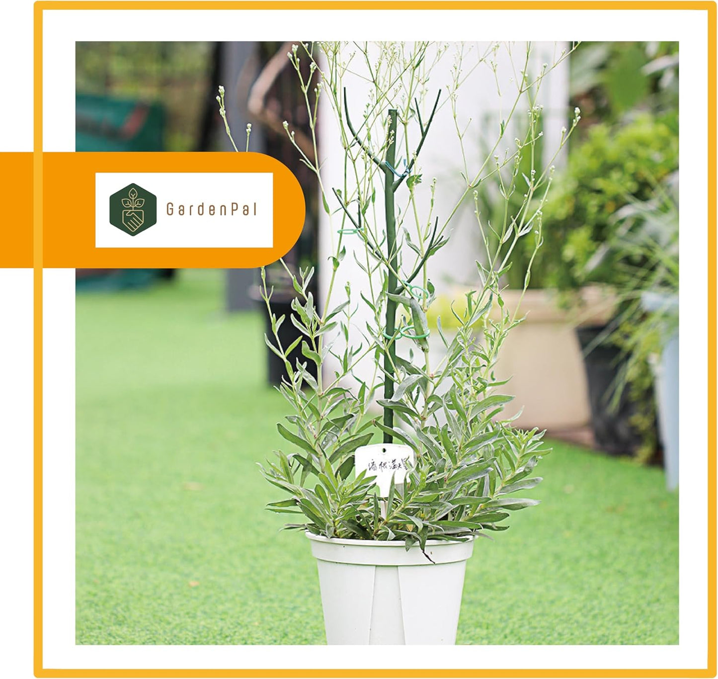 GardenPal 43.3" 6 Pack Detachable Twig Plant Support Stakes, Branch Sticks with Orchid Clips and Twist Ties, Blends with Plants - Ideal Plant Stakes for Indoor/Outdoor Use