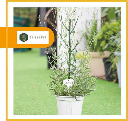 GardenPal 27.56" 6 Pack Detachable Twig Plant Support Stakes, Branch Sticks with Orchid Clips and Twist Ties, Blends with Plants - Ideal Plant Stakes for Indoor/Outdoor Use