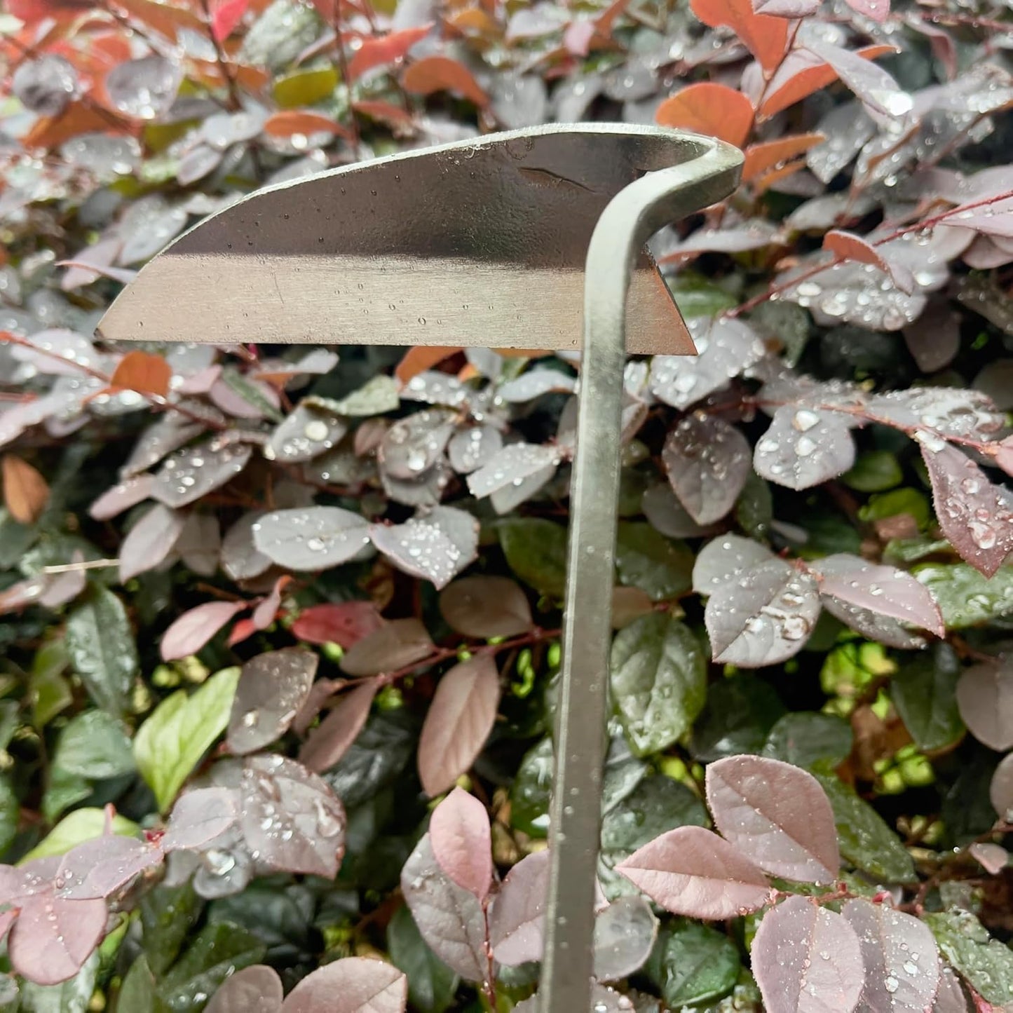 12 Inch Japanese Gardening Hand Weeding Sickle, Weeding Hoe with Long Wooden Handle