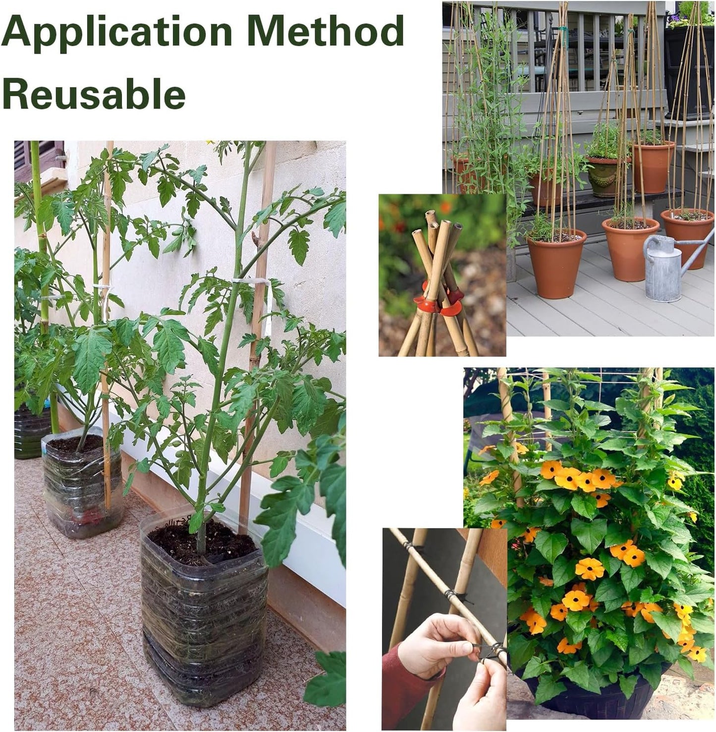 Bamboo Stakes 57 Inch, Approx 5FT Garden Stakes Multi-Purpose, Plant Stakes for Tomatoes, Beans, Cucumbers, Peppers, Flowers, Potted, Maintain The Plant Posture, Strengthen and Stem
