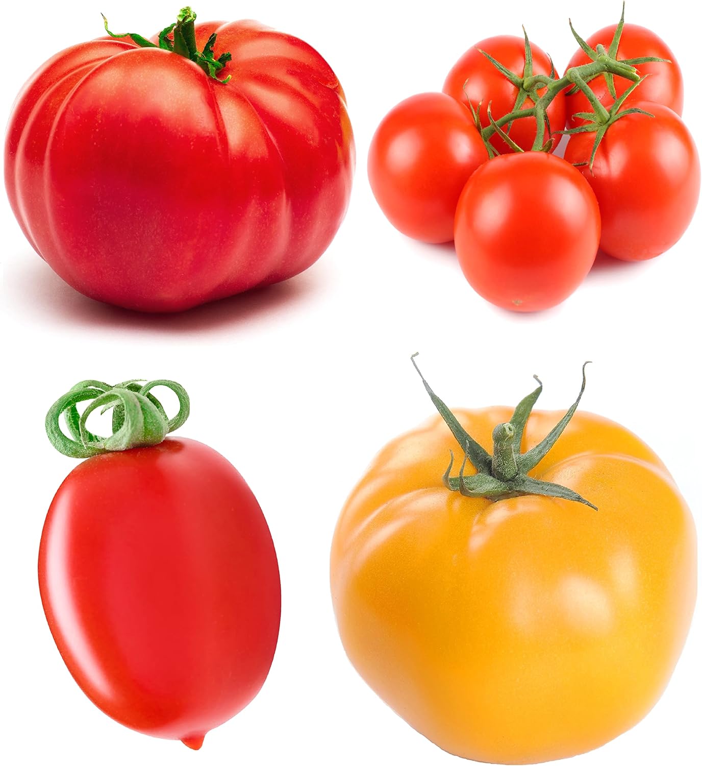 Tomato Seeds Variety Pack – 4 Heirloom Non-GMO Varieties: Beefsteak, Cherry, San Marzano, Yellow Brandywine – High Yield Garden Seeds for Planting Indoors or Outdoors