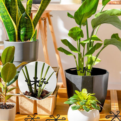 Plant Stem Support Set, 8Pcs 4 Sizes Plant Trellis Rings for Climbing Plants Indoor, Support Holder Ring for Different Growth Stages, Climbing Houseplant Trellis for Potted (Black)