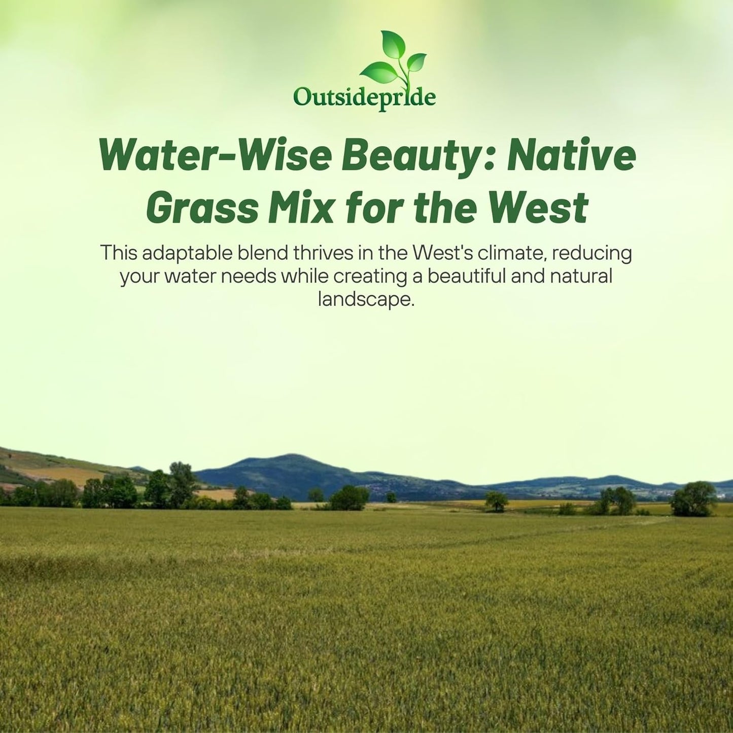 Outsidepride Western Native Grass Seed Mix - 5 lbs. Perennial Blend of Warm & Cool Season, Drought Tolerant Grass Seed for Natural Landscaping w/Wildflower, Soil Health Improvement & Erosion Control