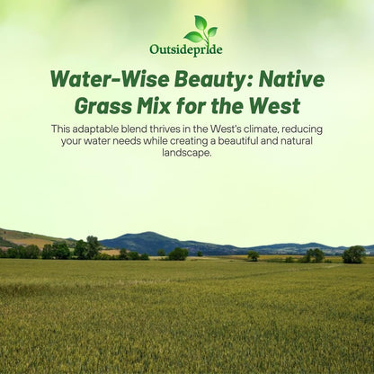 Outsidepride Western Native Grass Seed Mix - 5 lbs. Perennial Blend of Warm & Cool Season, Drought Tolerant Grass Seed for Natural Landscaping w/Wildflower, Soil Health Improvement & Erosion Control