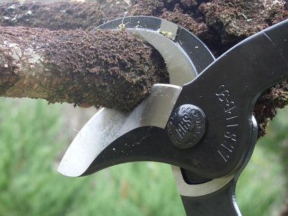 ARS LPB-30L Orchard Lopper