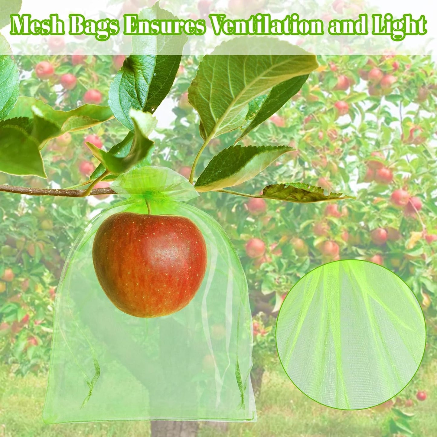 Morcheiong 60Pcs Fruit Protection Bags 8" x 12", Reusable Fruit Netting Bags for Fruit Trees, Garden Netting Mesh Bags with Drawstring (Green)