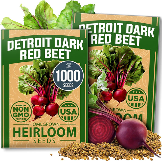 HOME GROWN Detroit Dark Red Beet Seeds 2 Pack(Beta vulgaris) 1000+𝗡𝗢𝗡-𝗚𝗠𝗢 𝗨𝗦𝗔 Heirloom Seeds with High Germination – Sweet,Nutrient-Rich Beets for Easy Planting in Garden Beds or Containers
