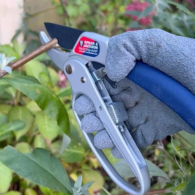 Spear & Jackson 6358RS Razorsharp Ratchet Anvil Pruners / Pruning Shears with Loop Handle. Clean & Easy Cutting. Cuts Thick Branches