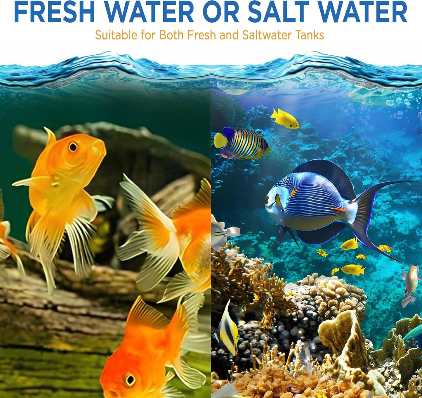 Fish Tank Rocks for Enhancing Water Clarity with Your Regular Cleaning Routine, Fish Friendly Aquarium Rocks, All Natural Aquarium Decor - Large - Covers Upto 3500 Gallons