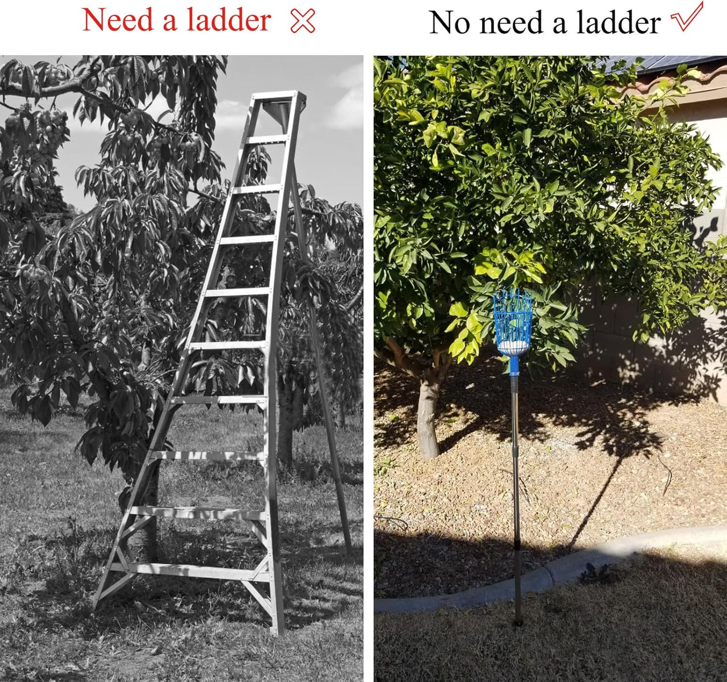 Fruit Picker Basket Only Twist-On Standard US Threaded Pole Integrated Non-Detachable Harvesting Tool Head with Protected Foam Cushion for Apple Peach Mango Pear, Blue(Pole Not Included)