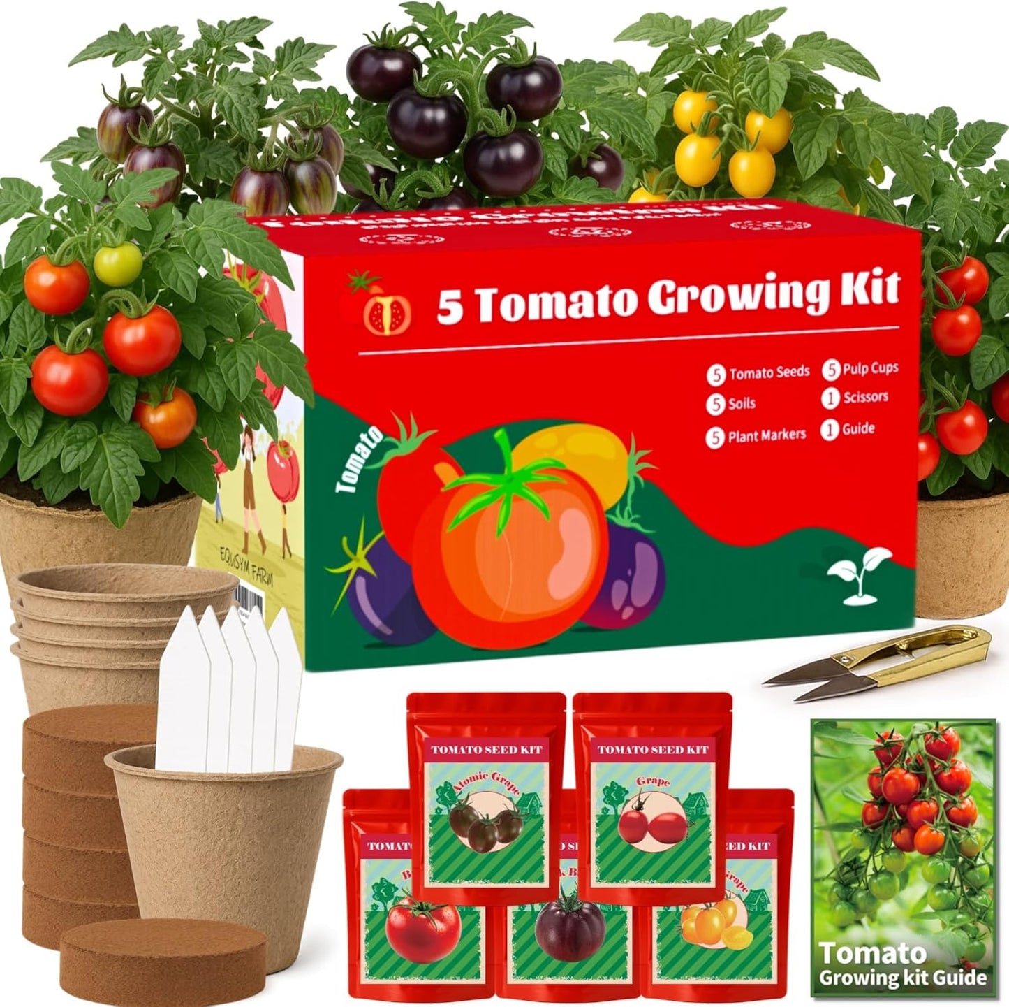 5 Pack Tomato Seeds for Planting - 100+ Heirloom Tomato & Tomatillo Seeds Variety Pack to Grow in Your Home Vegetable Garden, Non-GMO, Complete Gardening Starter Gift