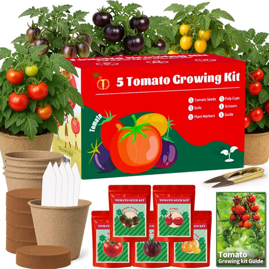5 Pack Tomato Seeds for Planting - 100+ Heirloom Tomato & Tomatillo Seeds Variety Pack to Grow in Your Home Vegetable Garden, Non-GMO, Complete Gardening Starter Gift