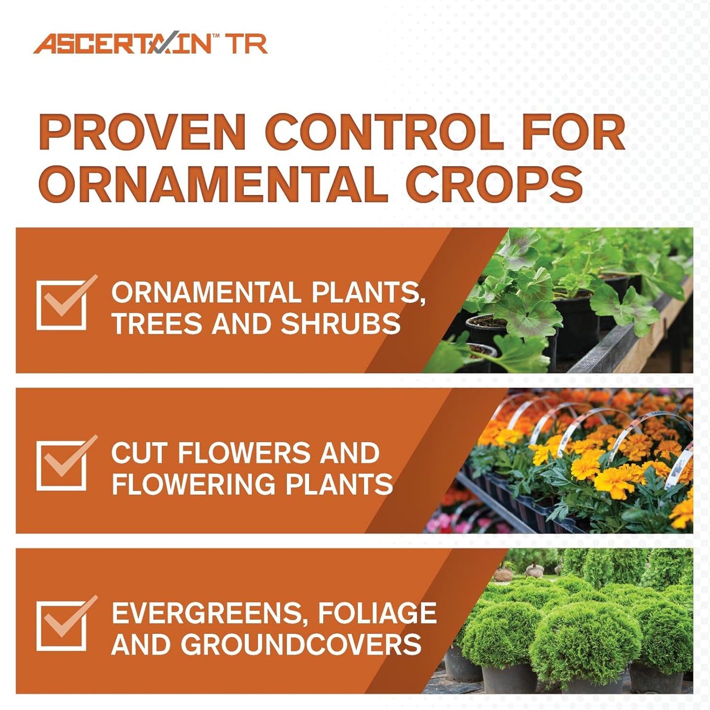 Atticus Ascertain TR Greenhouse Fogger (2oz Can) - (Compare to Attain) - Total Release Bifenthrin Insecticide/Miticide - Controls Mites, Aphids, Thrips, Fungus Gnats (Packaging May Vary) (1 Pack)