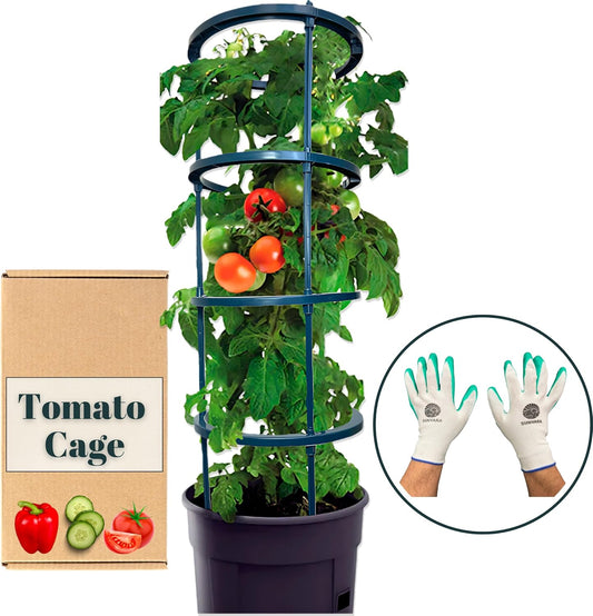 SunVara Small Tomato Cage for Pots Mini Tomato Cage Trellis 9'' Each 36'' in Total with Gloves