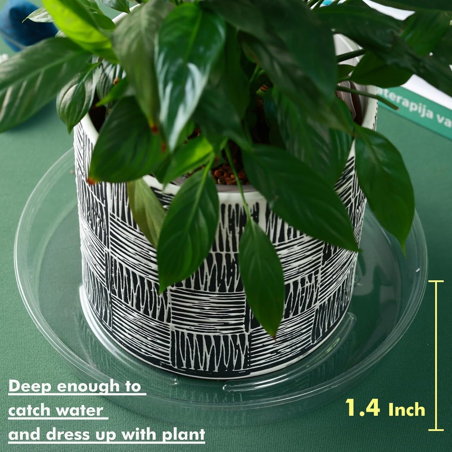 Plant Saucer 15 Pack Plant Trays for Pots 8/10/12 Inch Plastic Plant Saucers for Outdoors and Indoors Clear Drip Trays for Potted Plants Flower Pot Plates to Catch Water Plant Drainage Dishes No Holes