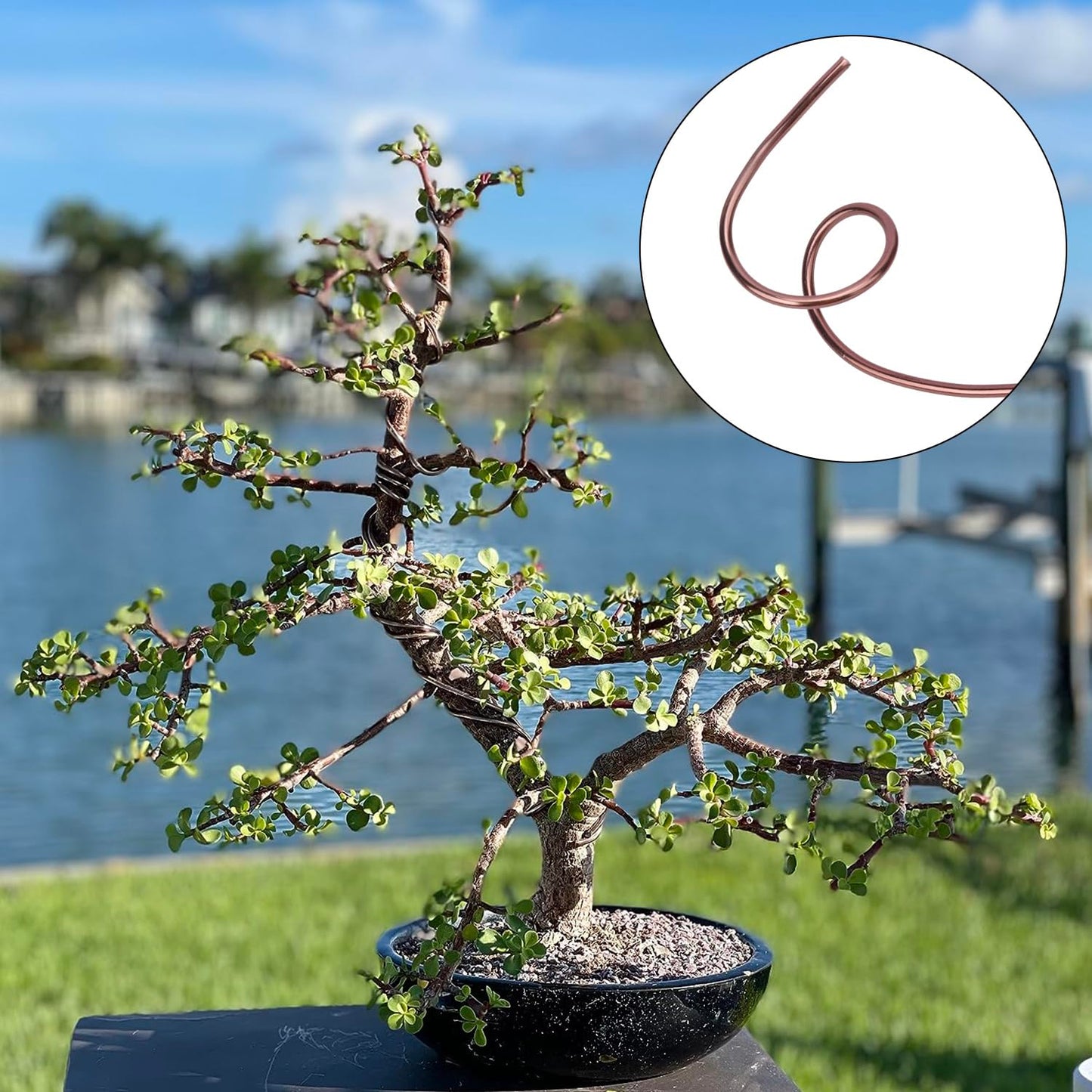 98 Feet Brown Anodized Aluminum Bonsai Training Wire, 4.0mm Anodized Aluminum Wire, 98 Feet Bonsai Plant Wire, Professional Grade Bonsai Training Wire for Crafts, Sculpting, Home Decoration