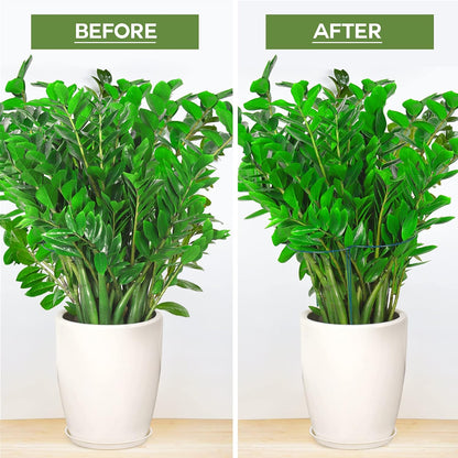 LEOBRO Plant Support Stakes, 6 PCS Peony Cages and Supports, Plant Stakes for Indoor Plants, Outdoor Plants, Monstera Tomato Hydrangea Support Cage, 10" W x 15.8" H