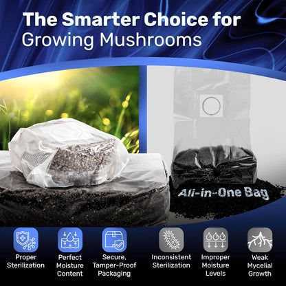 Surfin' Spores Mushroom Grow Kit | 4 lb Grow-in-Bag Kit/Monotub Refill | Includes: 1 lb Sterile Grain Bag with Injection Port & 3 lb Organic CVG Substrate | Spores Not Included (Single)