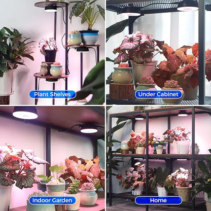 Barrina Orbgrow OG09 Puck LED Grow Light, Pinkish White 18W(2 x 9W, 270 Watt Equiv), Plant Lights for Indoor Plants Full Spectrum, Magnetic & Linkable, Small Grow lamp for Plant Shelf, 2 Packs, Black